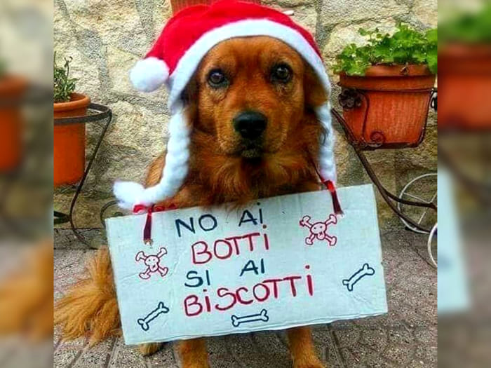 30 DICEMBRE – A Capodanno Festeggia ma non usare petardi e fuochi , non cercare disgrazie, DIVERTITI