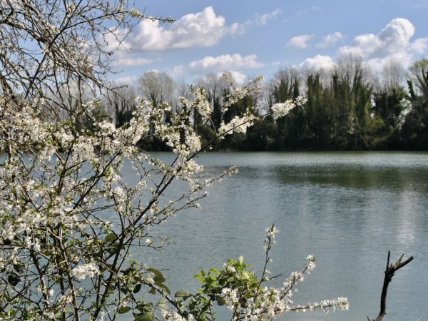 17 MAGGIO 2026 – Incontri – Viaggio nei giardini segreti e nella Ex Fornace Violani