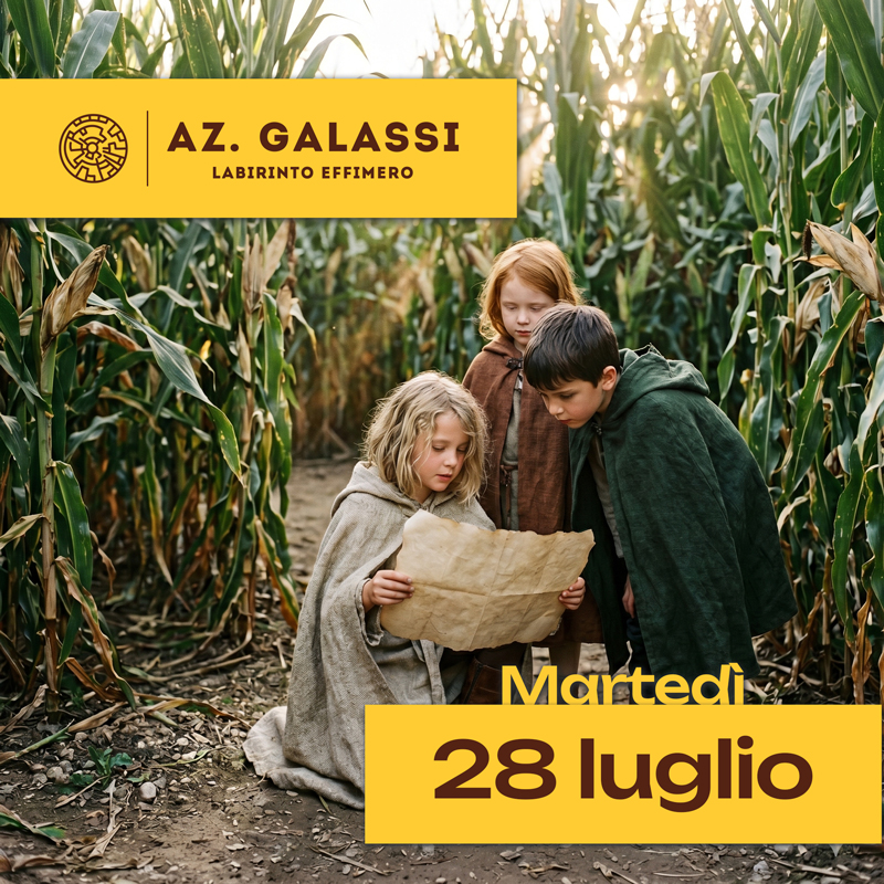 28 LUGLIO 2026 – Al Labirinto Effimero di Galassi “La Magia nel labirinto: Harry Potter e il Cerchio di Fuoco”!